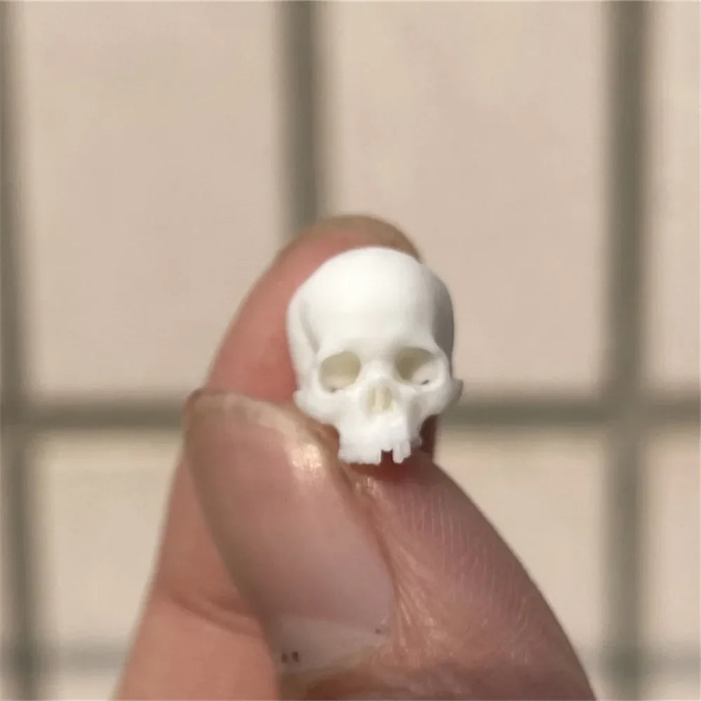 Miniature Skull Decor for Dollhouse & Halloween Scenes
