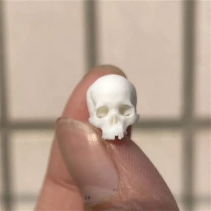 Miniature Skull Decor for Dollhouse & Halloween Scenes   